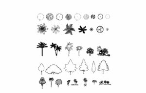 bloques de autocad, dibujos de palmeras en 2d, planos en formato dwg para descarga gratis