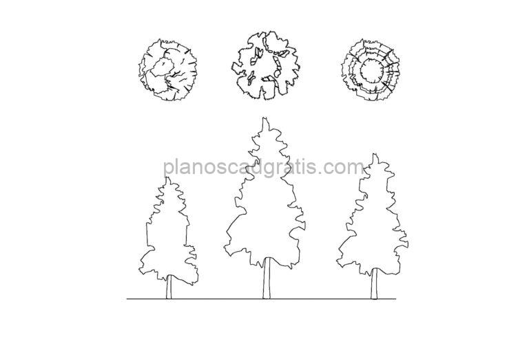 dibujo de autocad con vistas 2d de árboles de pino, vistas en planta y elevaciones, archivo dwg para descarga gratis
