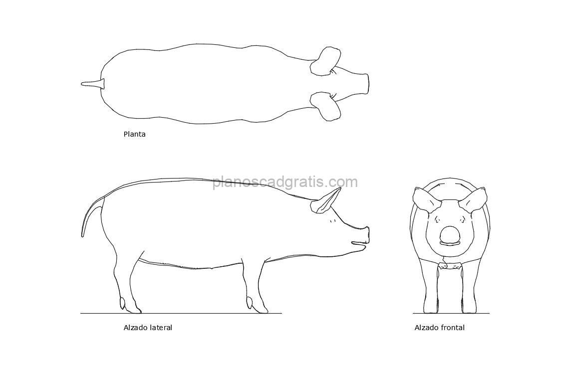 cerdo dibujo de autocad, vistas en planta y alzados, archivo dwg para descarga gratis