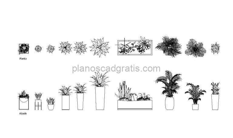 Vasos De Plantas